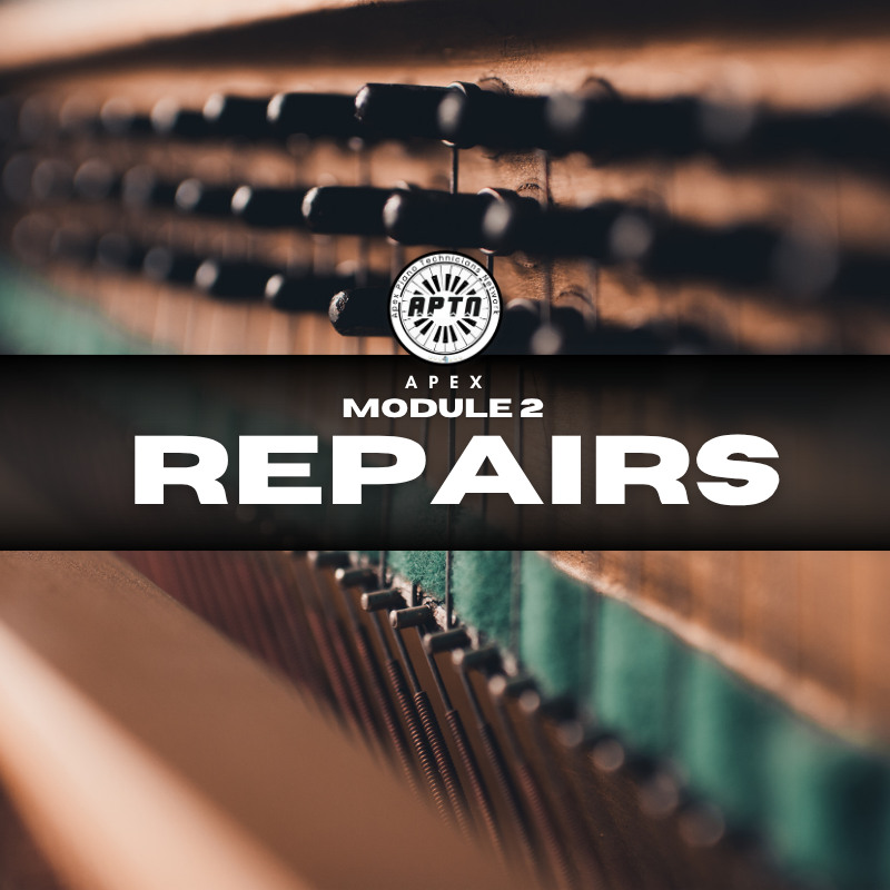 Apex Piano Mentorship - DONE WITH YOU