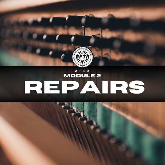 Apex Module 2 - Repairs