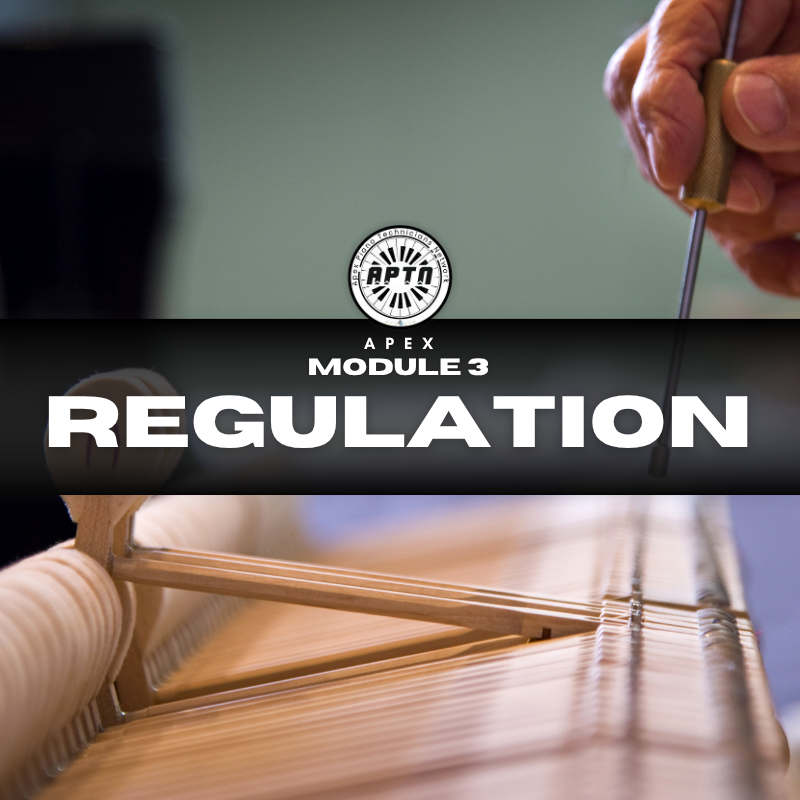 Apex Master Tech Mentorship Plus Tools - DONE FOR YOU