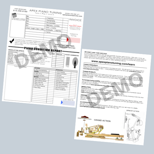 APTN Apex Piano Condition Report Customized - Piano Tuner